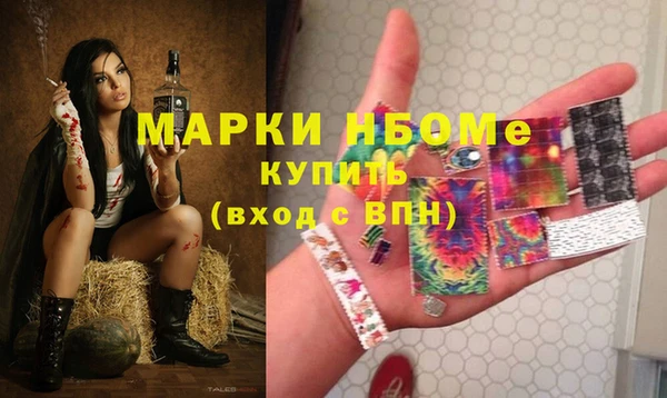 прущие грибы Краснослободск