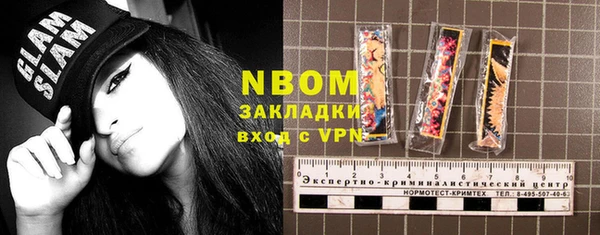 прущие грибы Краснослободск