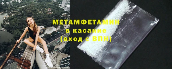 прущие грибы Краснослободск