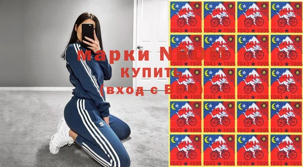 прущие грибы Краснослободск