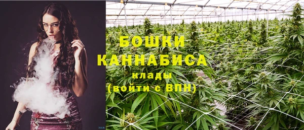 прущие грибы Краснослободск