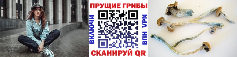 Галлюциногенные грибы Magic Shrooms  Купить закладки  Беслан 